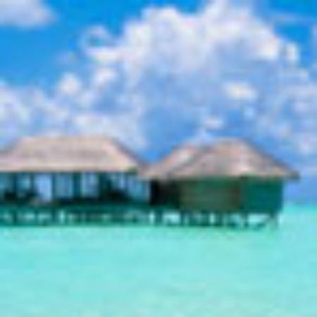 Dutch Brothers Coffee